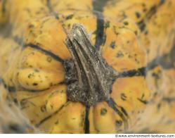 Photo Textures of Pumpkin Hokkaido